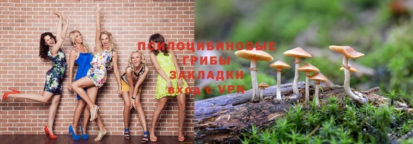 не бодяженный Аркадак