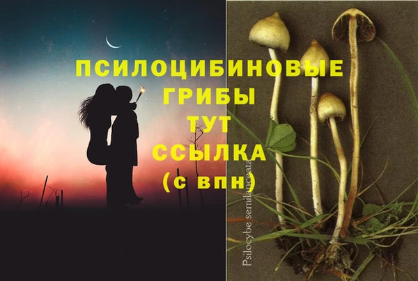 винт Арсеньев