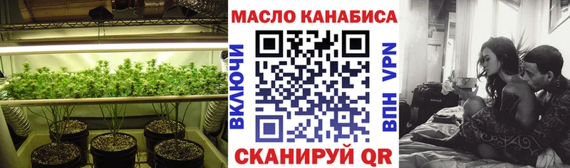 darknet телеграм Суджа ТГК Wax